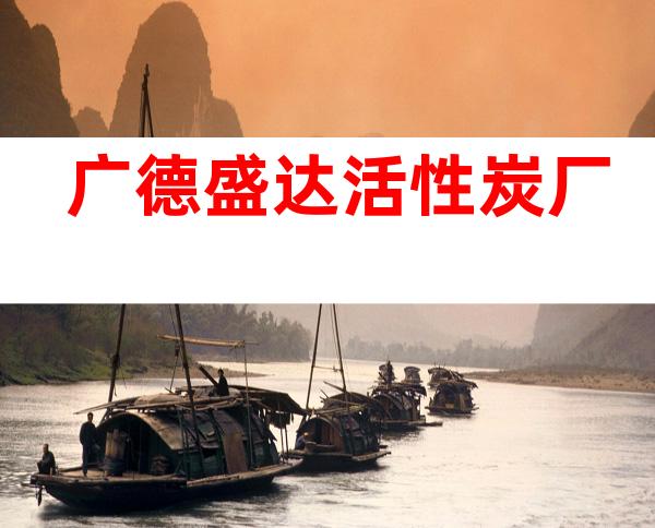 广德盛达活性炭厂